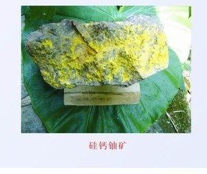 沒有離心機，第一顆原子彈的鈾從哪里來？